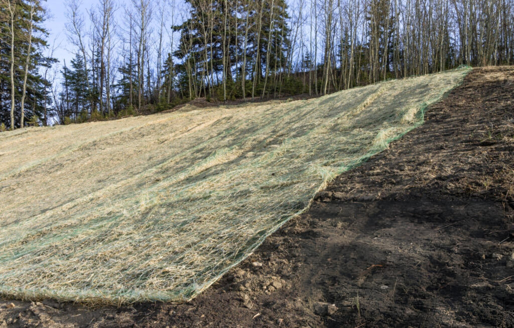 Soil Stabilization in Lake City, FL